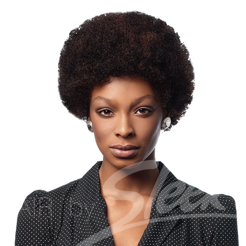 Afro 100 Human Hair Wig