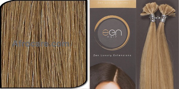 Zen Luxury U-Tip Hair Extensions 18 inch Colour #10