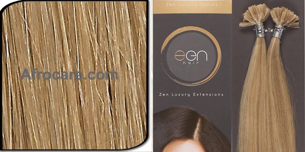 Zen Luxury U-Tip Hair Extensions 18 inch Colour #12