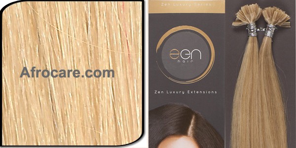 Zen Luxury U-Tip Hair Extensions 18 inch Colour #22