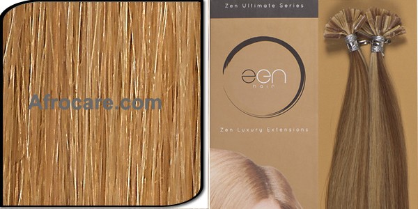 Zen Ultimate U-Tip Hair Extensions 14 inch Colour #27
